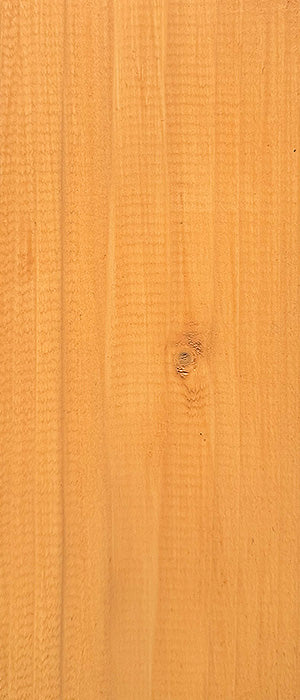 Contura Holzlasur Langzeitschutz Lasur + Pinsel Holz Außen Dauerschutzlasur Holzfarbe - Farbmanufaktur Contura Berkemeier - Farbmanufaktur Contura Berkemeier
