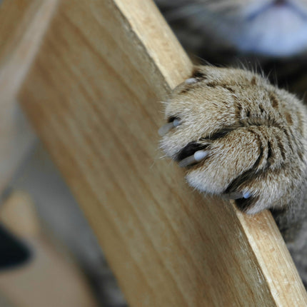 RABE 2K- 2 Komponenten Härter für Hydro- PU Wasserlack für wasserbasiert Lack - Farbmanufaktur Contura Berkemeier - Farben Rabe