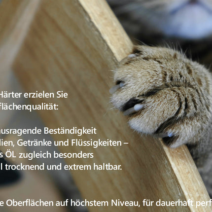 RABE 2K- 2 Komponenten Härter für Hartwachsöl und Holzöle sowie Leinölfirnis Öl - Farbmanufaktur Contura Berkemeier - Farben Rabe