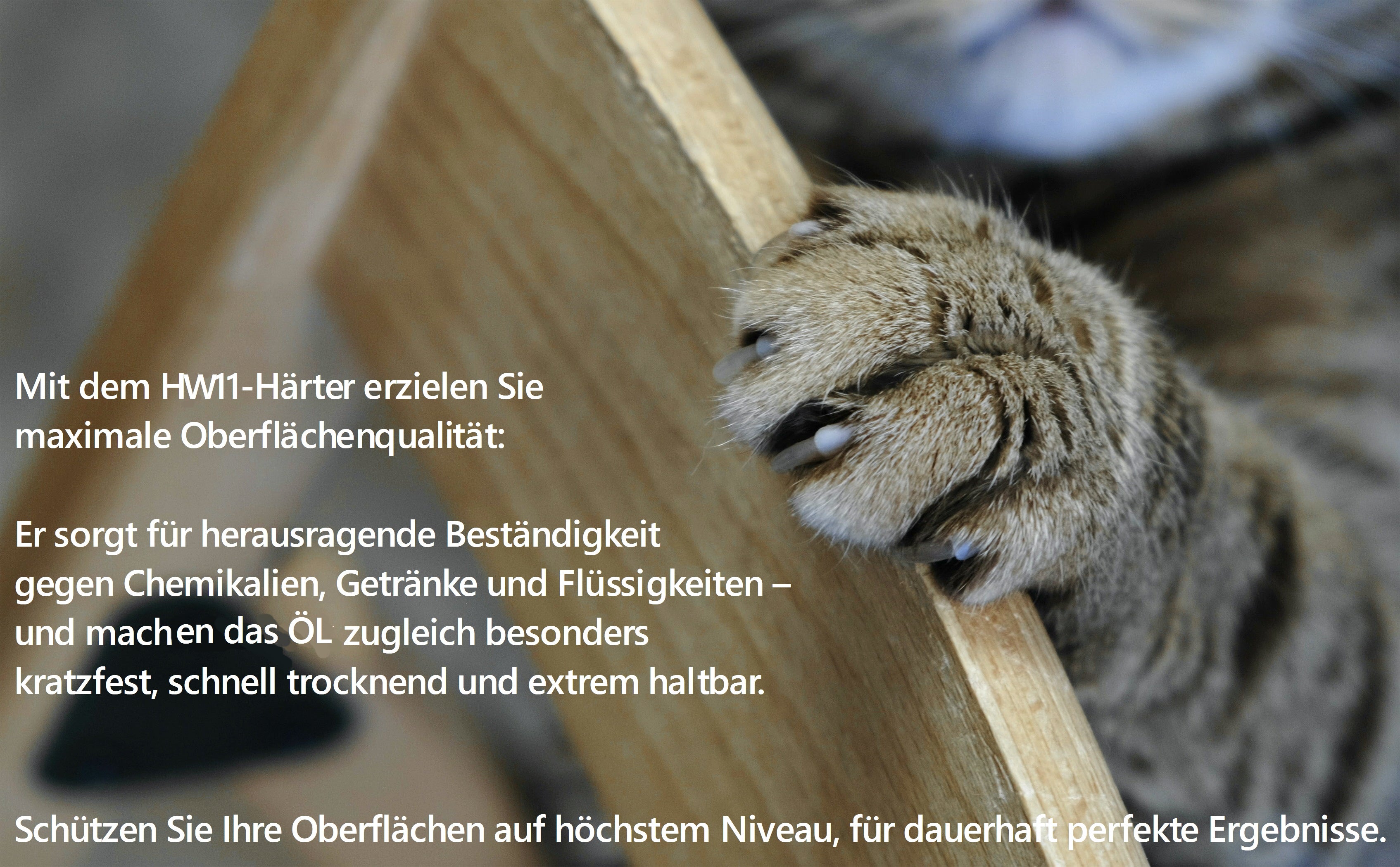 RABE 2K- 2 Komponenten Härter für Hartwachsöl und Holzöle sowie Leinölfirnis Öl - Farbmanufaktur Contura Berkemeier - Farben Rabe